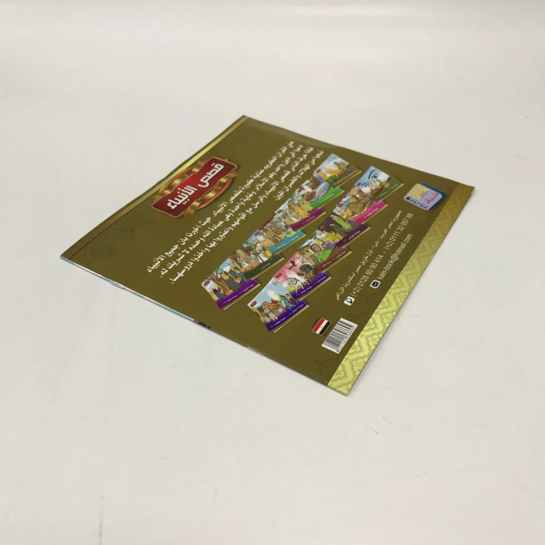 Four Colors Cover OEM Design Popular Exercise Book Printing Services